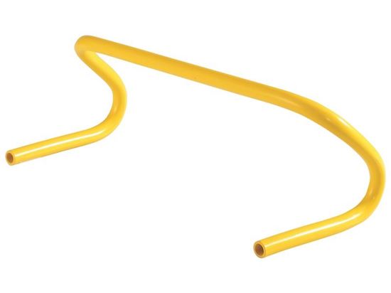 Image sur 23544171 HAIE D’INITIATION H: 30 cm