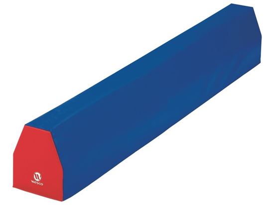 Image sur 23692033 GYMMODULES Poutre d'équilibre