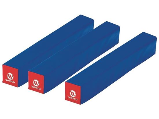 Image sur 23694033 GYMMODULES Petits obstacles