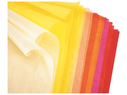 Image de 3079020 FEUILLES DE PAPIER DE SOIE 17 g Couleurs chaudes