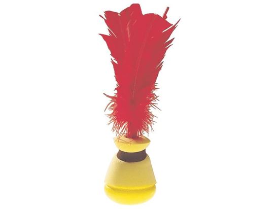Image sur 31429014 INDIACA SOFT