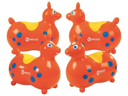 Image de 31592020 MAXI LOT Rody géants