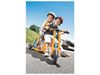 Image sur 29996164 TRICYCLE CHAR Zéphyr