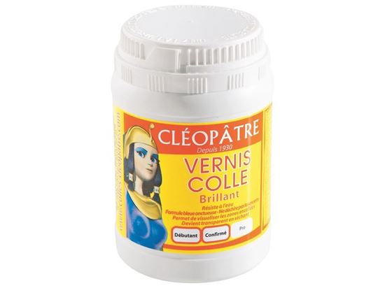 Image sur 3217001 VERNIS-COLLE Mat