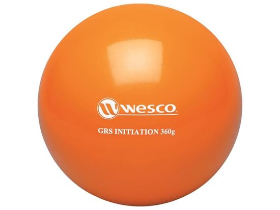 Image sur 322014 BALLON D’INITIATION À LA GYMNASTIQUE RYTHMIQUE