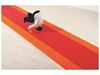 Image sur 34345039 TAPIS D'ÉVOLUTION Chemin