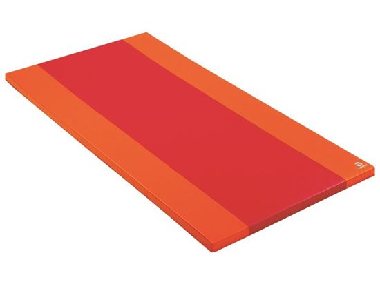 Image sur 34346059 TAPIS D'ÉVOLUTION Chemin MAXI LOT