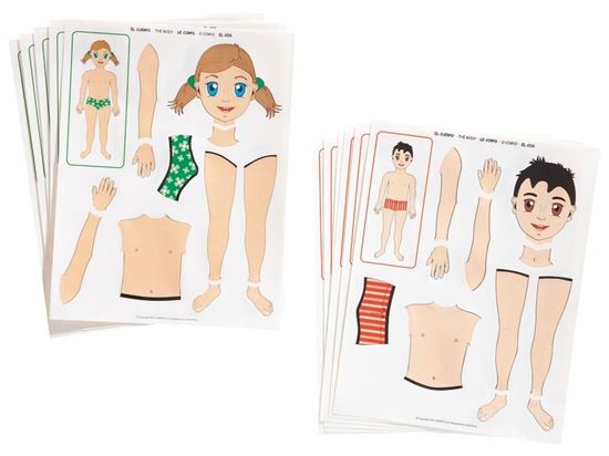 Image sur 35626020 GOMMETTES L'anatomie Le corps humain