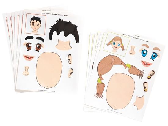 Image sur 35627020 GOMMETTES L'anatomie Le visage