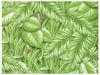 Image sur 35776020 MAXI ROULEAU DE PAPIER 85 g Feuilles vertes