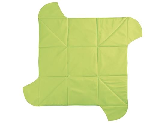 Image sur 41336008 TAPIS/COFFRE