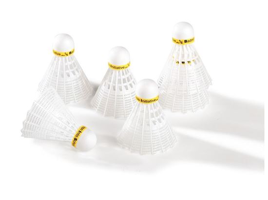 Image sur 43265171 VOLANTS DE BADMINTON Spécial collectivité
