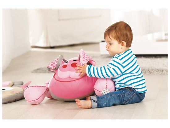 Image sur 46214020 ANIMAL DOUILLET Yvon le cochon