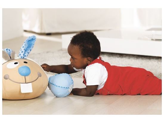 Image sur 46217020 ANIMAL DOUILLET Lucien le lapin