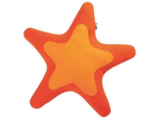 Image sur 46610059 COUSSIN Étoile