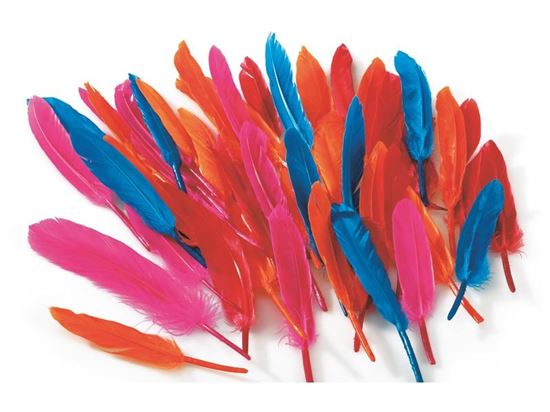Image sur 47485020 PLUMES D'INDIENS