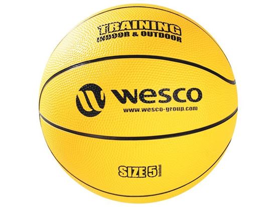 Image sur 47964011 BALLON DE BASKET Training Indoor - Outdoor Taille 5