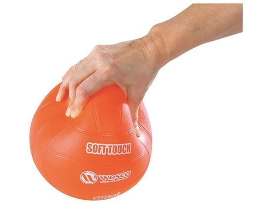 Image sur 715020 BALLON DE VOLLEY Soft touch