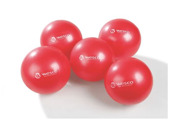 Image sur 770020 BALLES ULTRALÉGÈRES en peau de mousse LOT DE 10
