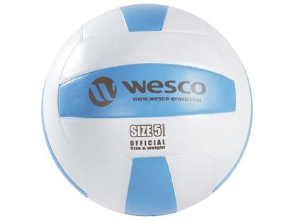 Image de 47990002 BALLONS DE VOLLEY Taille 5