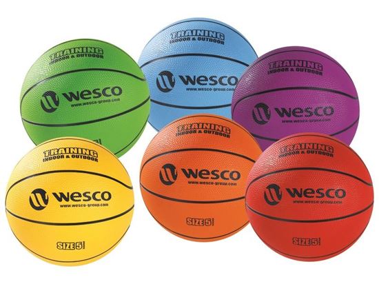 Image sur 48032171 BALLON DE BASKET Training Indoor - Outdoor MAXI LOT Taille 5