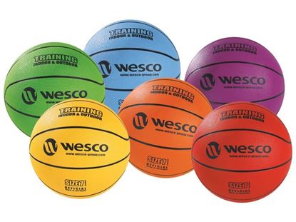 Image de 48033171 BALLON DE BASKET Training Indoor - Outdoor MAXI LOT Taille 7