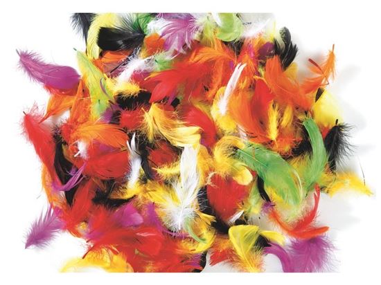 Image sur 49579015 PLUMES DUVET