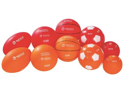 Image de 48246002 KIT MULTISPORT INITIATION Sports collectifs: rugby, volley, basket, foot, hand Les 10 ballons