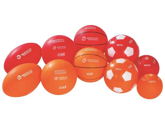 Image sur 48246002 KIT MULTISPORT INITIATION Sports collectifs: rugby, volley, basket, foot, hand Les 10 ballons