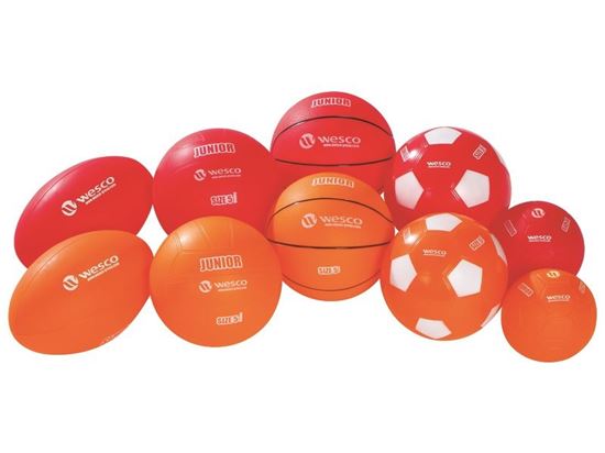 Image sur 48246039 KIT MULTISPORT INITIATION Sports collectifs: rugby, volley, basket, foot, hand Les 10 ballons