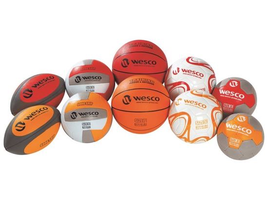 Image sur 48259002 KIT MULTISPORT ENTRAÎNEMENT Sports collectifs: rugby, volley, basket, foot, hand Les 10 ballons
