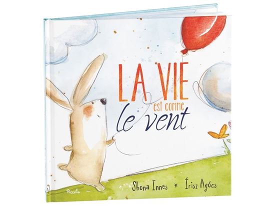 Image sur 48678171 COLLECTION JE DEVIENS GRAND La vie est comme le vent