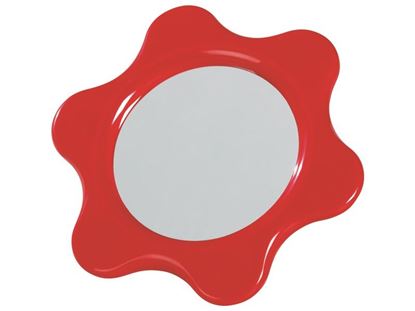 Image de 49091171 MIROIR FLEUR