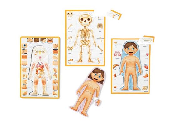 Image sur 51597171 PUZZLE TACTILE GÉANT La banquise