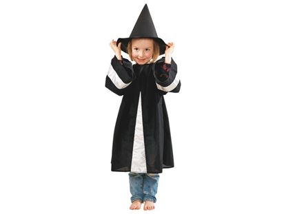 Image de 54682020 MAXI LOT DE CHAPEAUX Carnaval