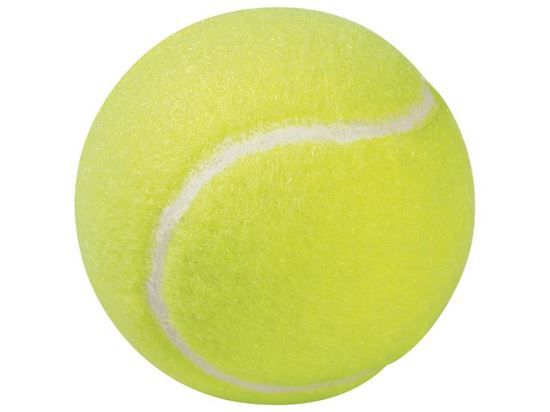 Image sur 56711171 BALLES DE TENNIS Ø 65 MM