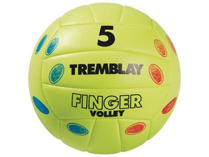 Image de 55782171 BALLON DE VOLLEY PÉDAGOGIQUE Taille 5