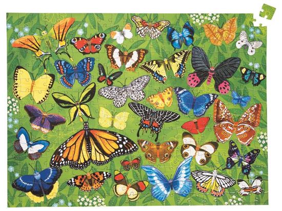 Image sur 54668171 PUZZLES THÉMATIQUES 300 pièces Papillons