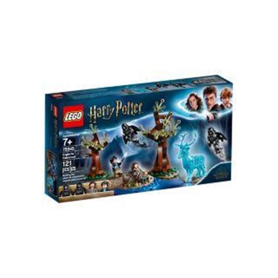 Image sur LG75945 Expecto Patronum